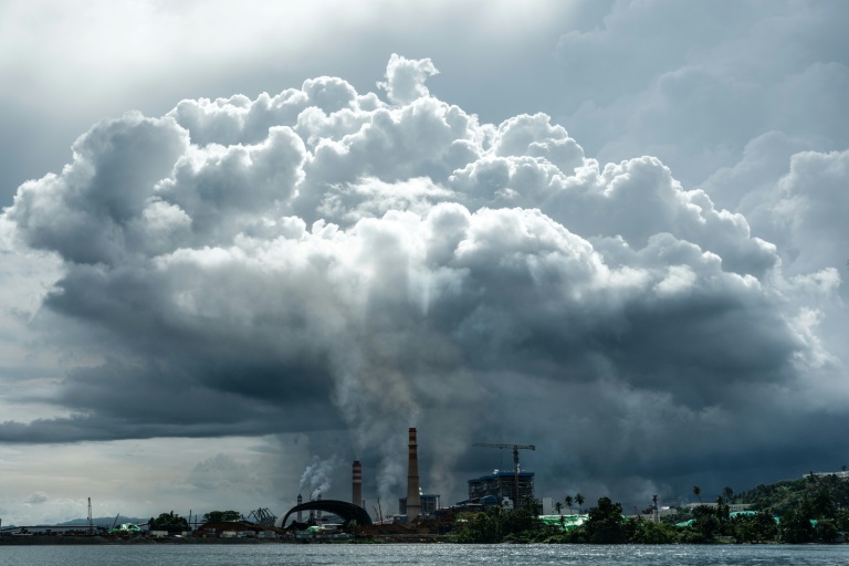 Indonesia Seizes Part of Nickel Site Over Forest Violations