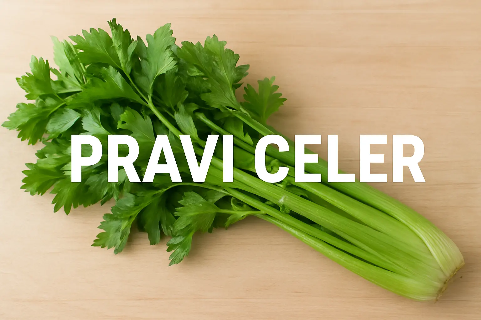 Pravi Celer – (A Comprehensive Guide)
