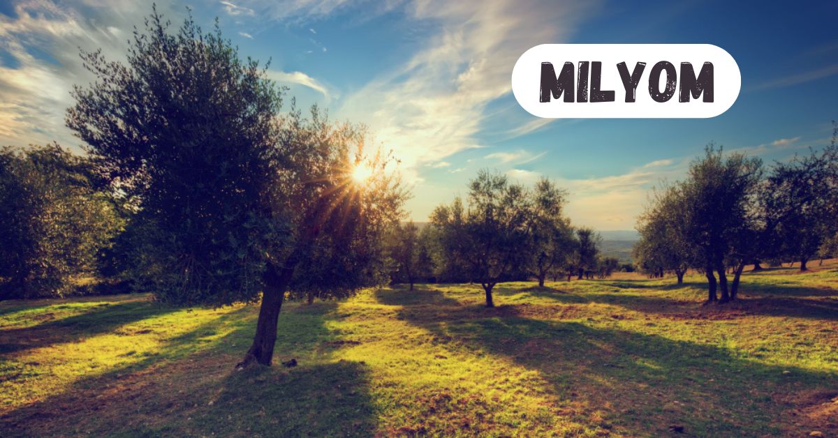 Milyom: Complete Guide with FAQs and Calculation